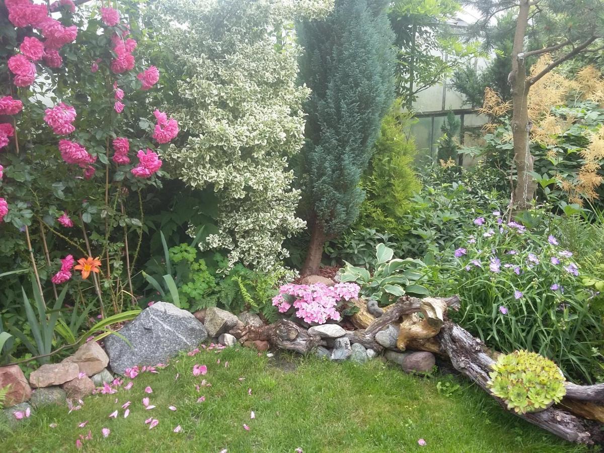 Villa Jaskolka Miedzyzdroje Bagian luar foto