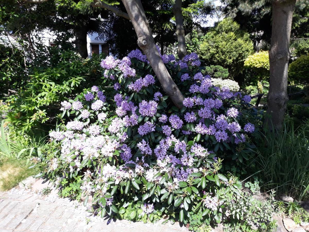 Villa Jaskolka Miedzyzdroje Bagian luar foto